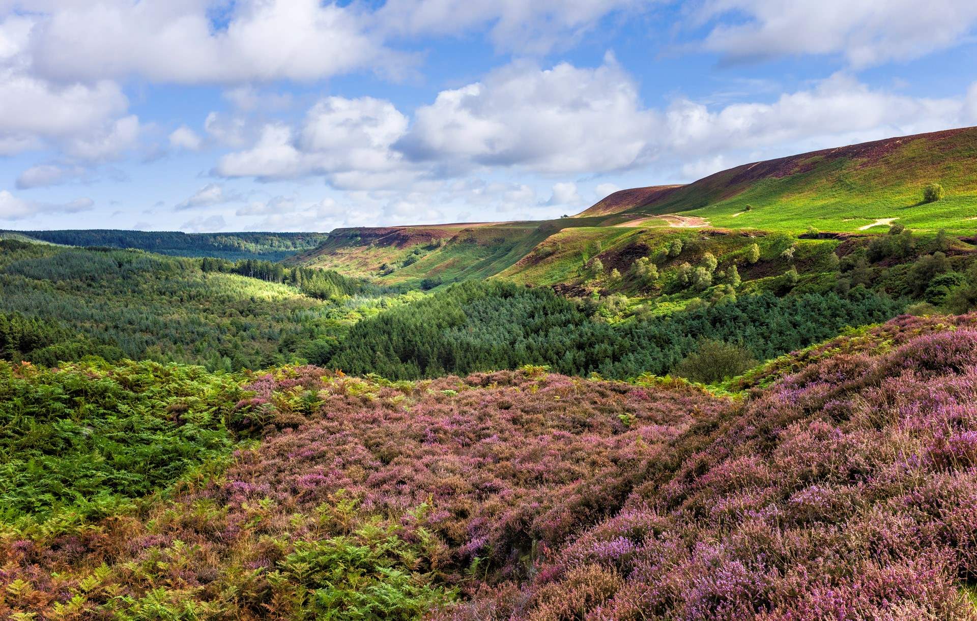 The North Yorkshire Moors aren't far and are another fantastic location to explore. 