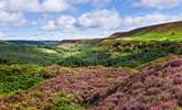 The North Yorkshire Moors aren't far and are another fantastic location to explore.  - Thumbnail Image