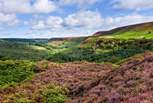 The North Yorkshire Moors aren't far and are another fantastic location to explore. 