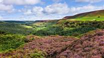 The North Yorkshire Moors aren't far and are another fantastic location to explore. 