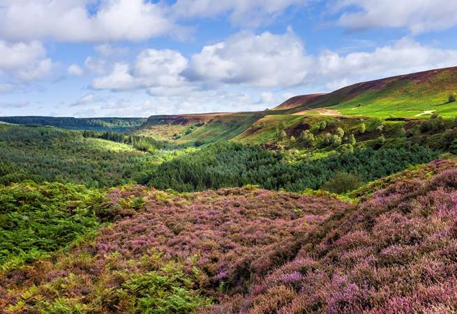 The North Yorkshire Moors aren't far and are another fantastic location to explore. 