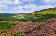 The North Yorkshire Moors aren't far and are another fantastic location to explore.