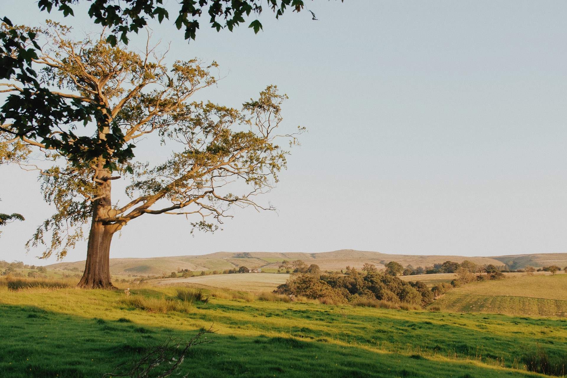 Adventure days await in the Yorkshire Dales, so don't forget your walking boots! 