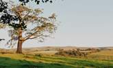 Adventure days await in the Yorkshire Dales, so don't forget your walking boots!  - Thumbnail Image