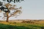 Adventure days await in the Yorkshire Dales, so don't forget your walking boots! 