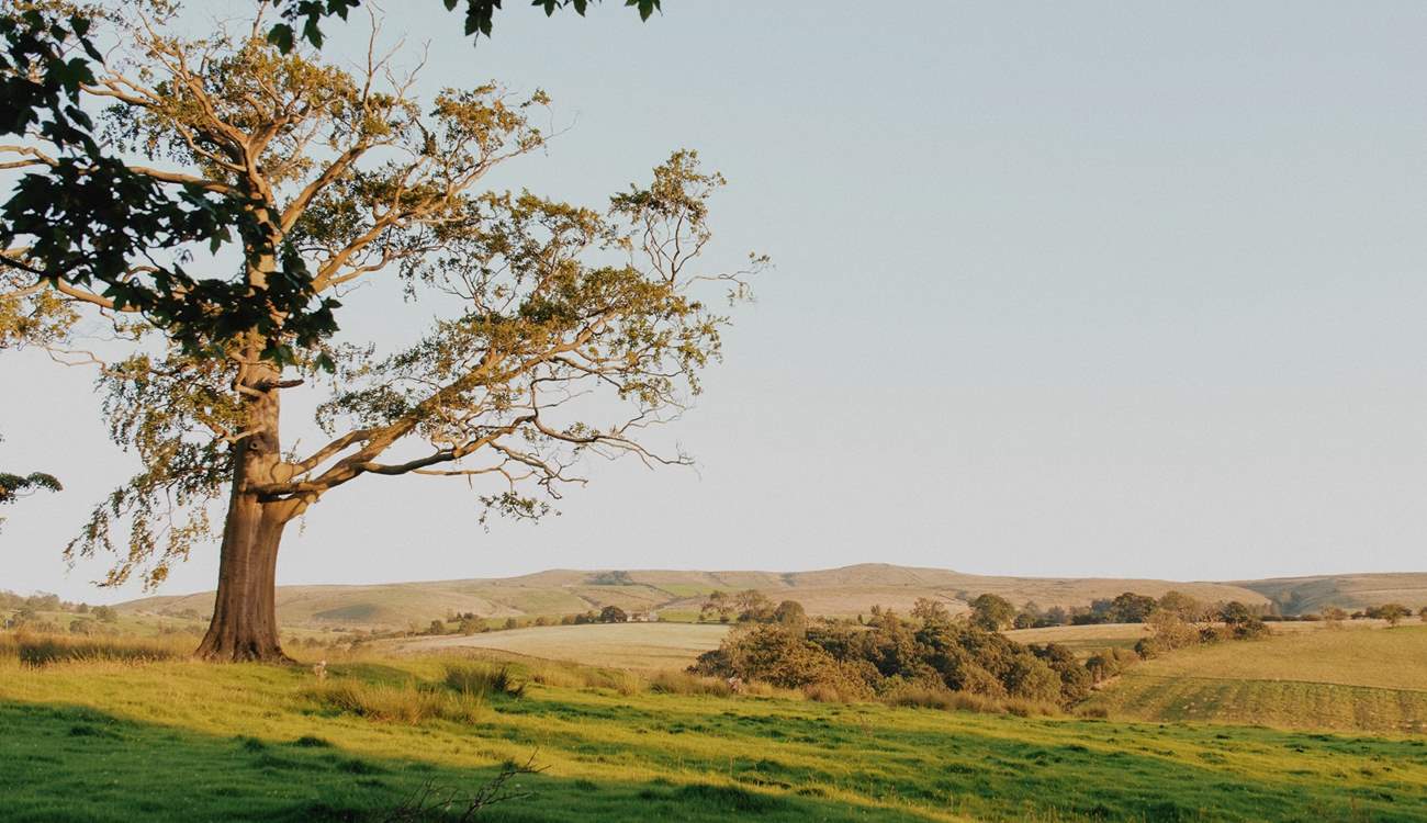 Adventure days await in the Yorkshire Dales, so don't forget your walking boots! 