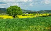 Thirsk is just over half an hour away. The countryside is truly breathtaking!  - Thumbnail Image