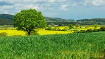 Thirsk is just over half an hour away. The countryside is truly breathtaking! 
