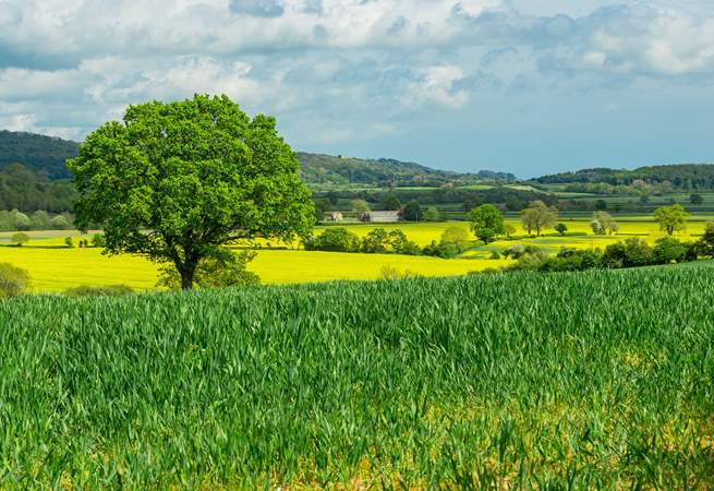 Thirsk is just over half an hour away. The countryside is truly breathtaking! 