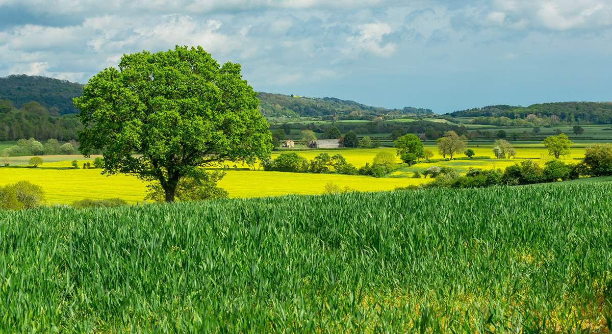 Thirsk is just over half an hour away. The countryside is truly breathtaking! 