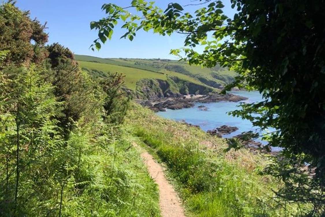 Head out along the coastal footpath to discover mesmerising views around every corner.