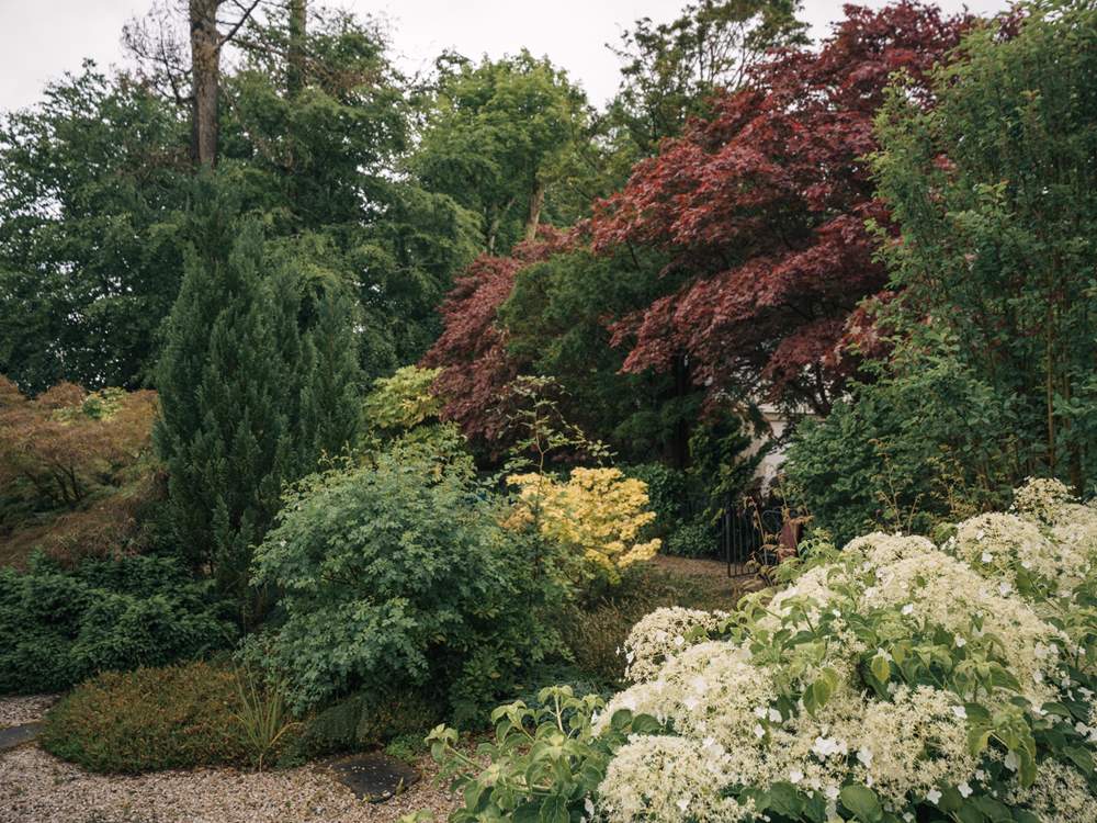 The Japanese garden has a pond and a myriad of beautiful trees, a place of calm.