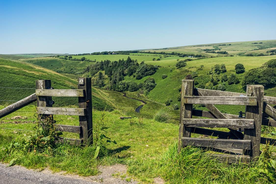 Head to stunning Exmoor and discover country pubs and walks a plenty.
