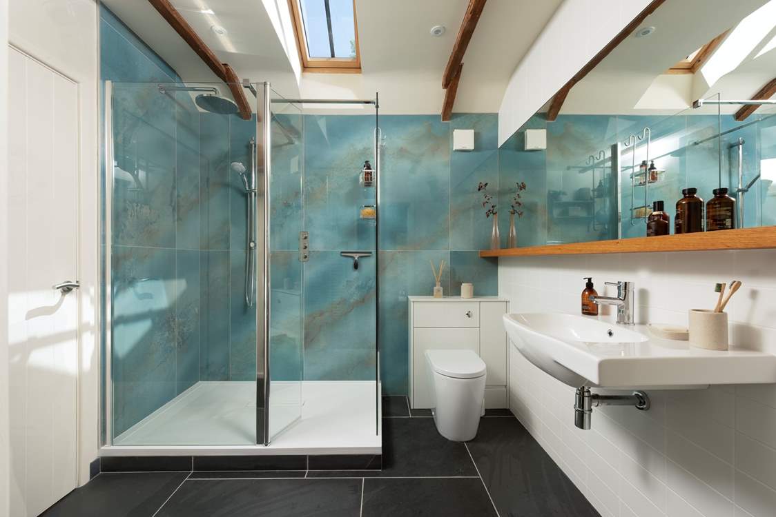 The spectacular family shower-room.