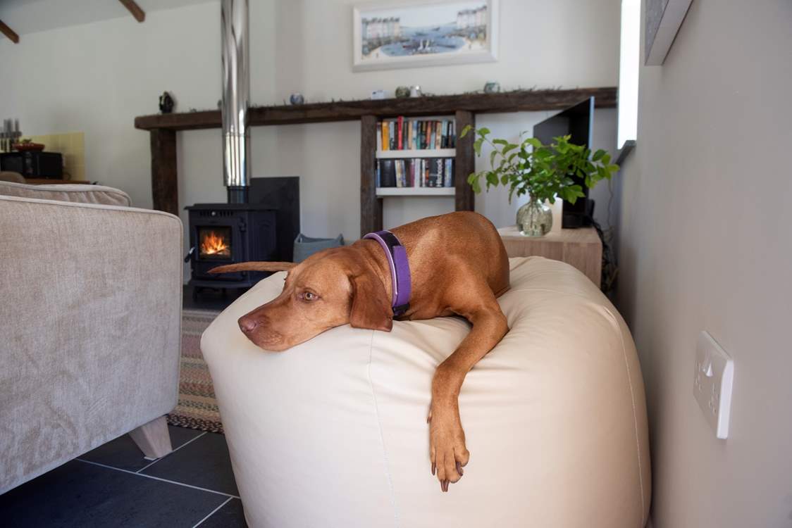 Your four-legged friend is most welcome and is sure to feel right at home..