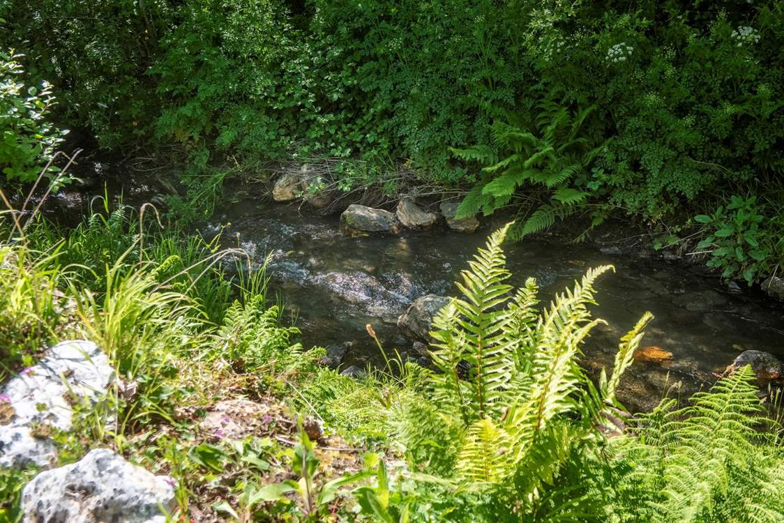Treat yourself to a well deserved break at our riverside cottage.