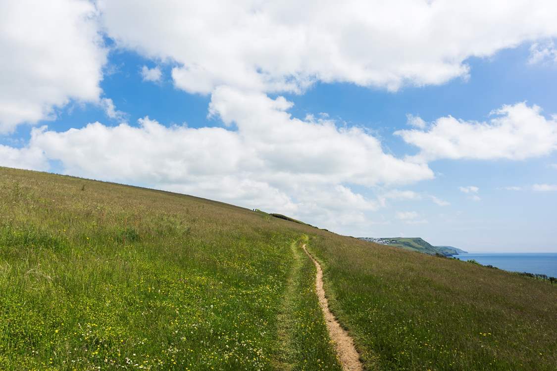 Take to the coastal footpath to discover visual treats around every corner.