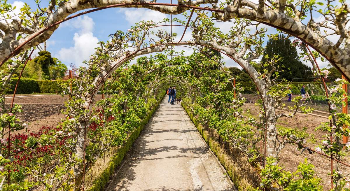 Visit The Lost Gardens of Heligan for a wonderful day out. 