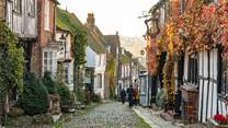 Visit the medieval town of Rye with its beautiful cobbled streets, antiques shops, pubs and restaurants.