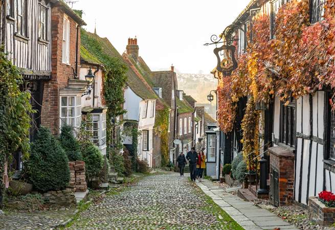 Visit the medieval town of Rye with its beautiful cobbled streets, antiques shops, pubs and restaurants.