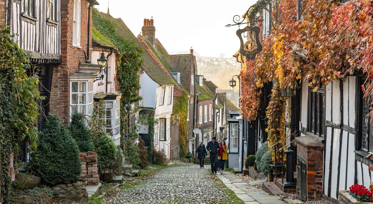 Visit the medieval town of Rye with its beautiful cobbled streets, antiques shops, pubs and restaurants.