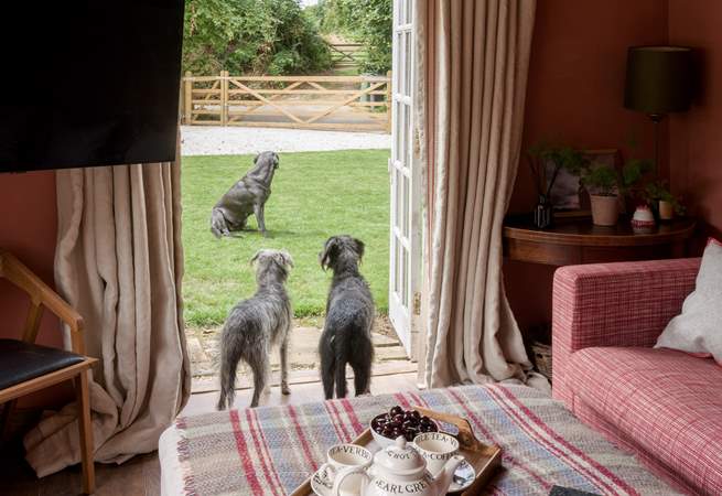 A wonderful garden and meadow for you and your four-legged friends to enjoy.