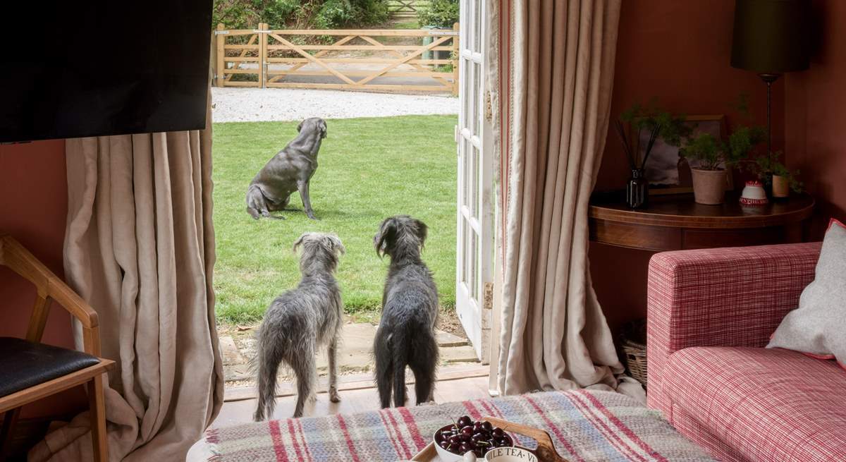 A wonderful garden and meadow for you and your four-legged friends to enjoy.