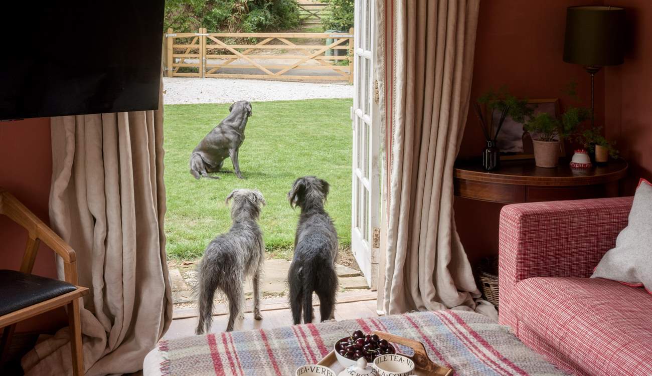 A wonderful garden and meadow for you and your four-legged friends to enjoy.