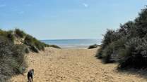 Head to the beach.