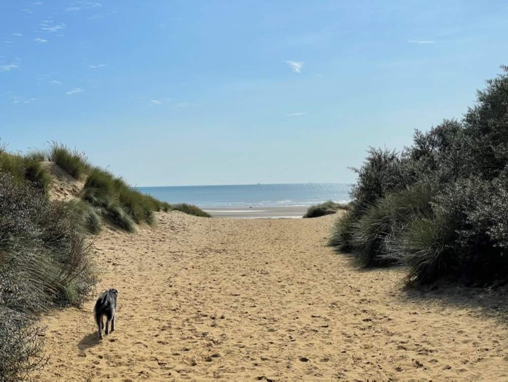 Head to the beach.