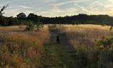 There is a private field with mown paths, perfect for an early morning or evening stroll. - Thumbnail Image