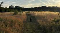 There is a private field with mown paths, perfect for an early morning or evening stroll.