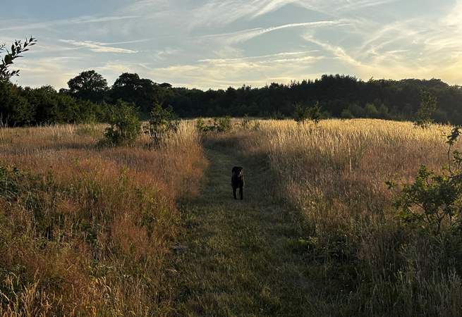There is a private field with mown paths, perfect for an early morning or evening stroll.