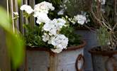 Rustic floral displays are a feast for the eyes. - Thumbnail Image