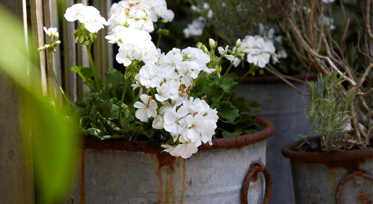 Rustic floral displays are a feast for the eyes.