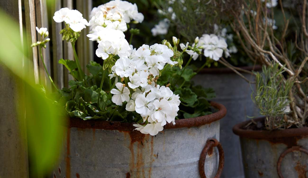 Rustic floral displays are a feast for the eyes.