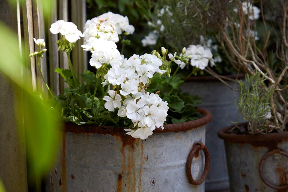 Rustic floral displays are a feast for the eyes.