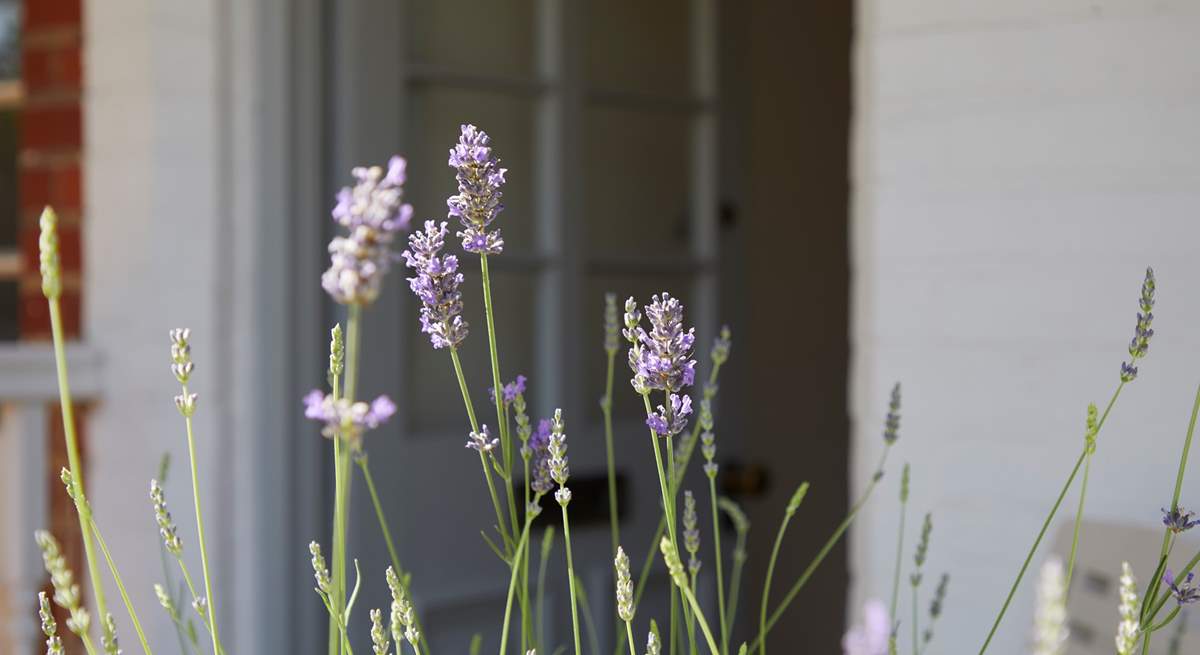Calming lavender sets the relaxing tone.