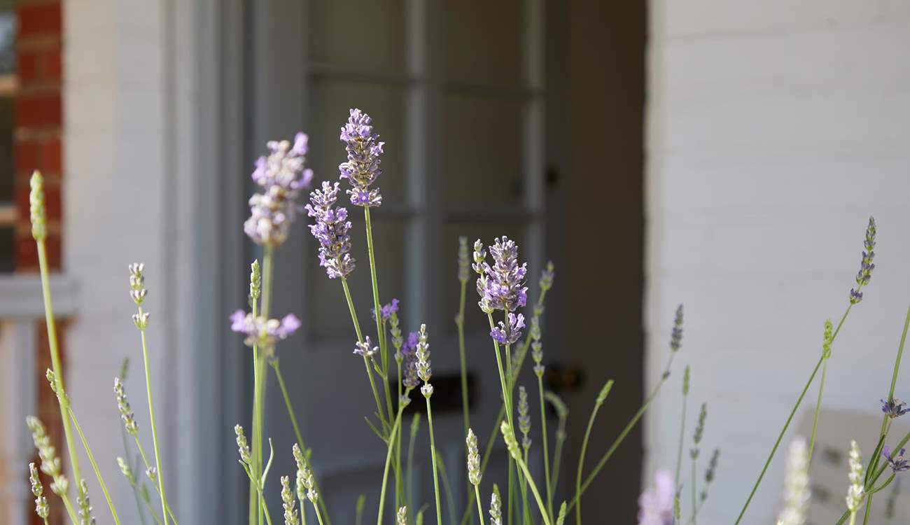 Calming lavender sets the relaxing tone.
