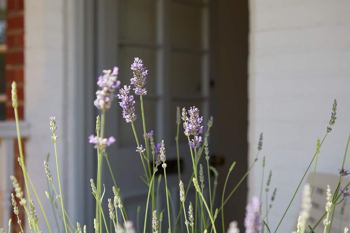 Calming lavender sets the relaxing tone.