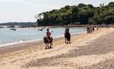 Local horse riding experiences are available.   - Thumbnail Image