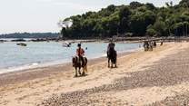 Local horse riding experiences are available.  