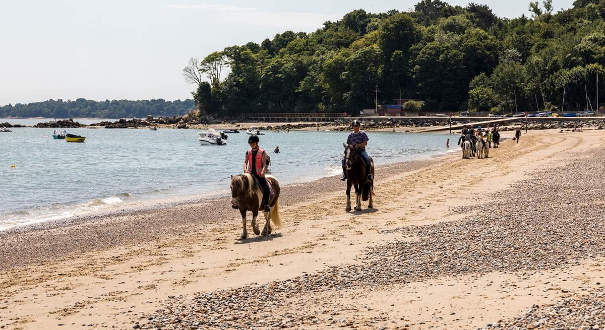 Local horse riding experiences are available.  
