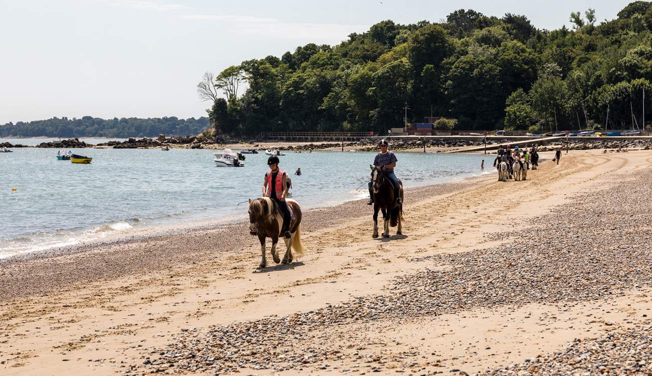 Local horse riding experiences are available.  