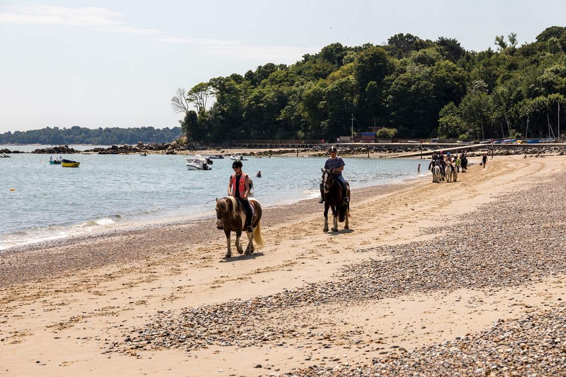 Local horse riding experiences are available.