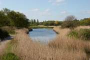 Take a stroll along the Hersey Nature Reserve - it's full of surprises.