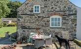 Your dog will be in heaven here. There is a very large shared garden to explore and adjoining fields. - Thumbnail Image