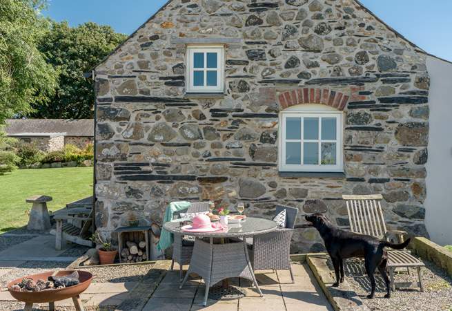 Your dog will be in heaven here. There is a very large shared garden to explore and adjoining fields.