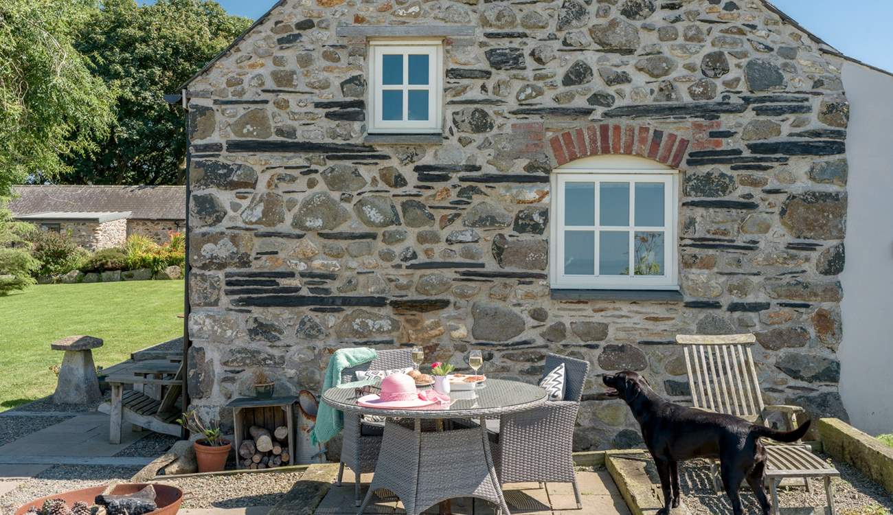 Your dog will be in heaven here. There is a very large shared garden to explore and adjoining fields.