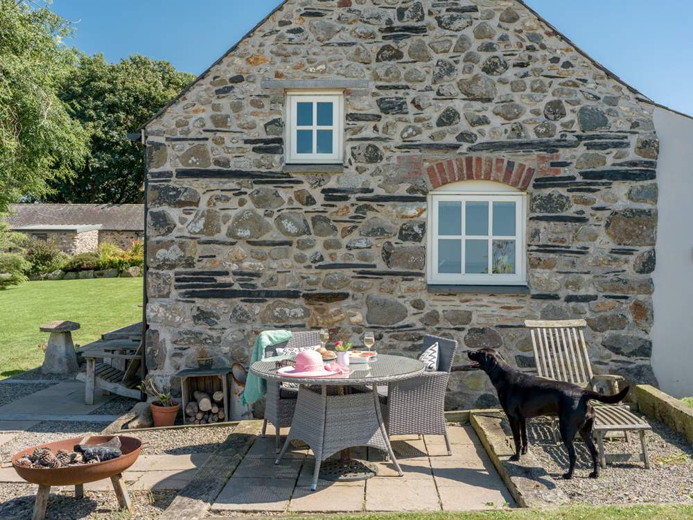Your dog will be in heaven here. There is a very large shared garden to explore and adjoining fields.